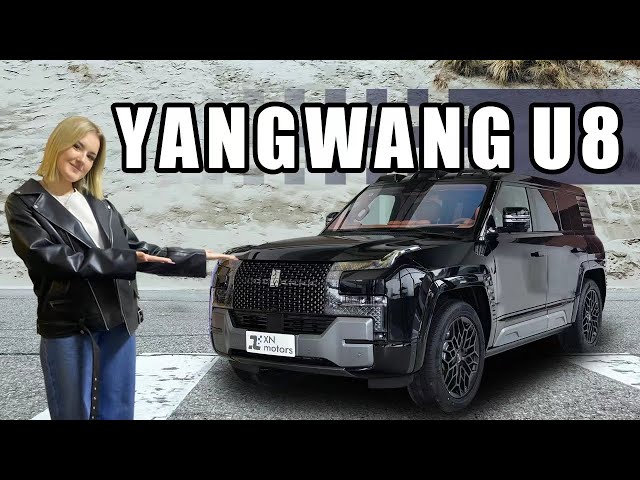 Лучший премиальный кроссовер BYD Yang Wang